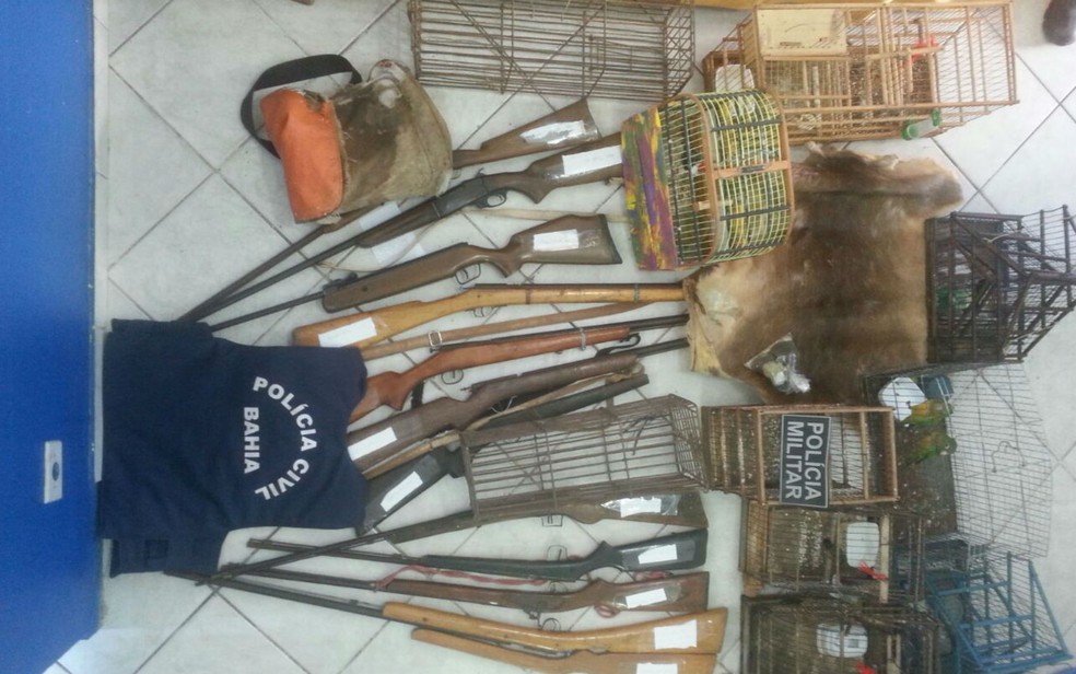 Armas, pássaros silvestres e couro de veado também foram encontradas com suspeitos (Foto: Divulgação/Polícia Civil)