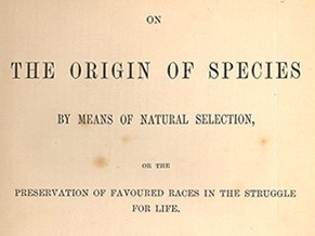 A origem das espécies (Foto: Divulgação )