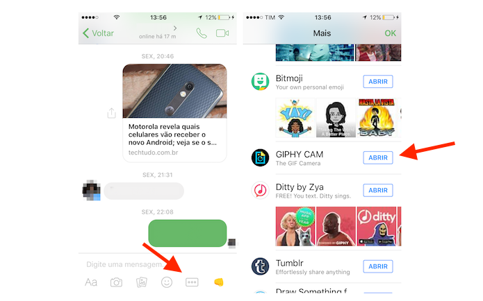 Acesso à página de download da extensão para Facebook Messenger Giphy Cam (Foto: Reprodução/Marvin Costa)