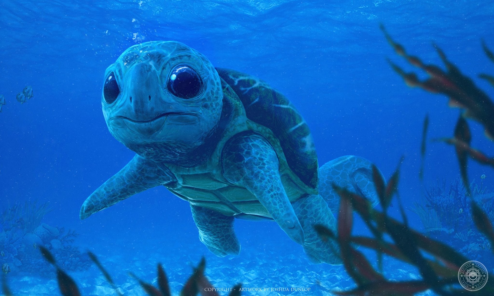 Squirtle (Foto: Reprodução/Joshua Dunlop) Squirtle (Foto: Reprodução/Joshua Dunlop)