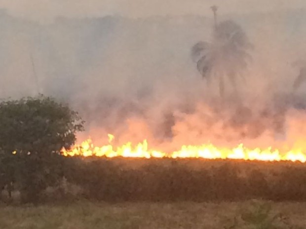 Incêndio na Reserva do Paiva, no Grande Recife (Foto: Reprodução/WhatsApp)