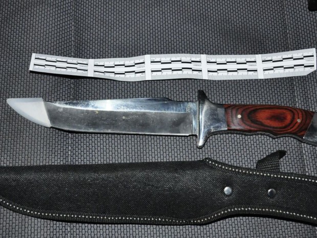 Estudante de direito diz que matou namorada por ser alvo de 'chacota', em Goiás (Foto: Divulgação/Polícia Civil)
