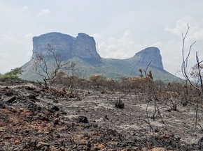 Imagens Mostram Destruicao Por Fogo Na Chapada Diamantina Na Ba Bahia G1