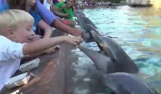 Jillian Thomas foi atacada enquanto alimentava com outras crianças os golfinhos. (Foto: Reprodução)