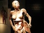 Manaus recebe exposição 'O fantástico corpo humano'