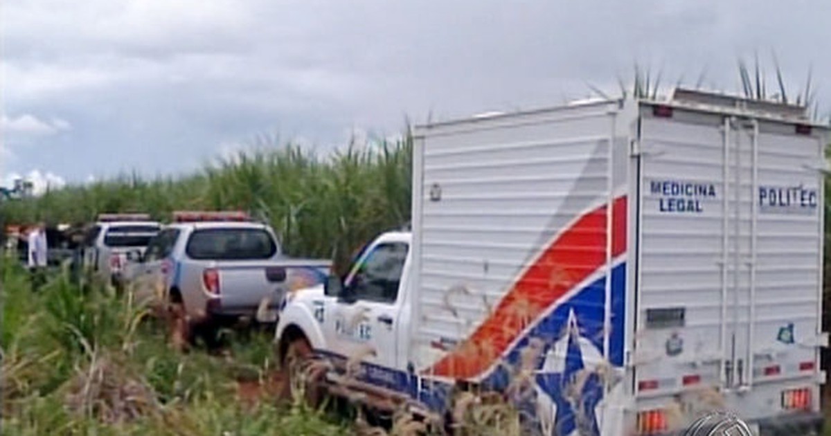 G Delegada De Mt Pede Novos Exames Sobre Crian A Morta Em Canavial