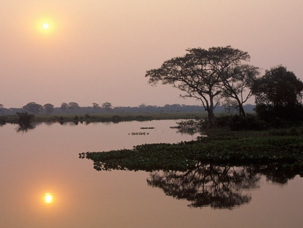 Foz do rio Taquari, no Mato Grosso do Sul (Foto: Zig Koch)