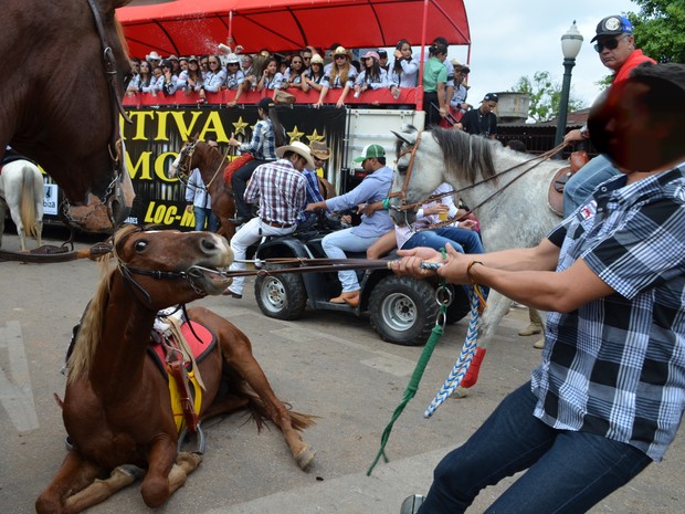 Homem puxa cavalo que está visivelmente cansado (Foto: Rayssa Natani/G1)
