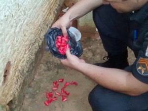 Drogas foram apreendidas durante a operação (Foto: Divulgação/ Polícia Militar)