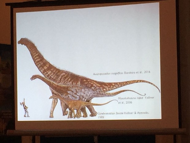 Animal pode ser classificado no grupo dos titanossauros (Foto: Cristina Boeckel / G1)