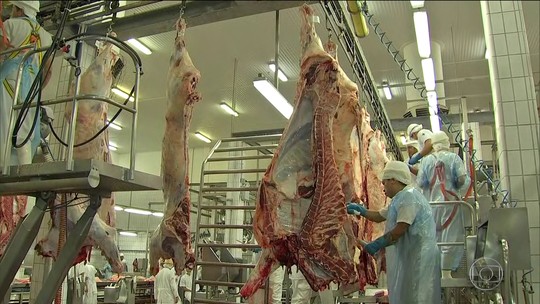 Governo dá explicações a nove países que barraram a carne brasileira
