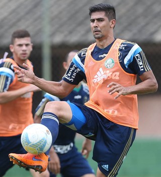 Leandro Almeida Palmeiras (Foto: César Greco / Ag. Palmeiras / Divulgação)