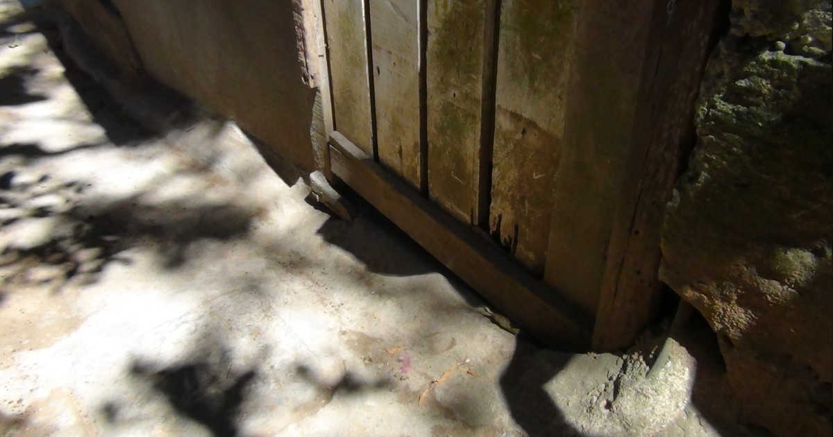 Bebê recém-nascida é encontrada abandonada em Teresópolis, no ... - Globo.com
