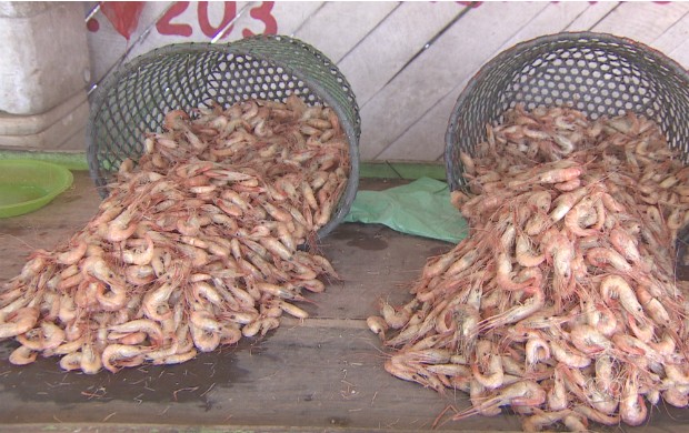 Preço do camarão aumentou e comerciantes e consumidores macapaenses ficam preocupados (Foto: Bom Dia Amazônia)