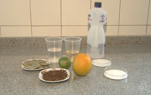 Biólogo Gilson Mesquita mostrou como combinar ingredientes que podem servir como repelentes contra insetos (Foto: Acre TV)