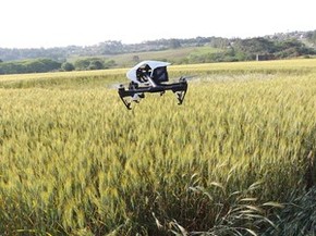 Figura Supostamente Feita Por Ets Em Plantacao Fara Parte De Documentario Campos Gerais E Sul G1