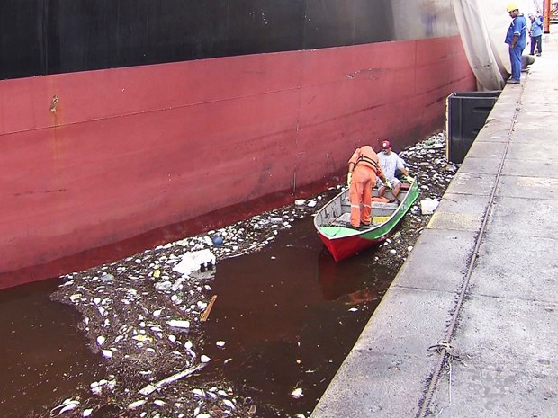Empresa inicia retirada de milhares de peixes mortos do Porto de Santos, SP (Foto: Reprodução/TV Tribuna)