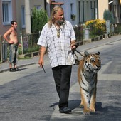 Tcheco passeia com tigre na coleira (Radek Mica/AFP)