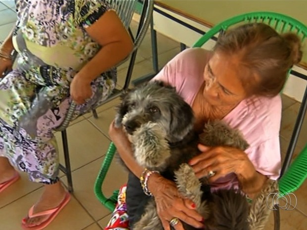 Cadela ‘trabalha’ em delegacia e visita idosos em abrigos de Anápolis, Goiás (Foto: Reprodução/TV Anhanguera)