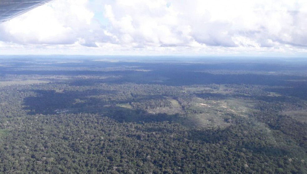 Área chamada de Taquaruçu do Norte fica a 250 km de Colniza e é de difícil acesso (Foto: Reprodução/TVCA)