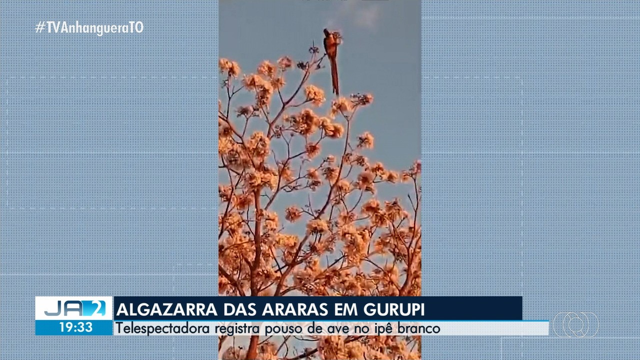 VÍDEOS: Jornal Anhanguera 2ª Edição-TO de terça-feira, 21 de julho de 2026