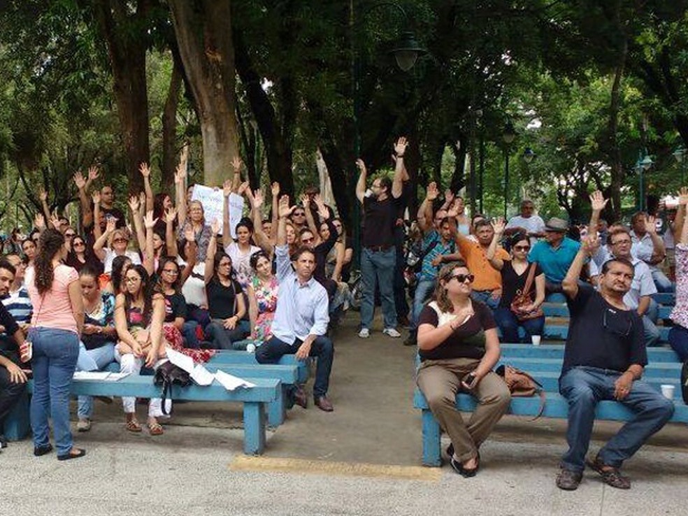 Assembleia que decidiu pelo início da greve na saúde pública de Teresina (Foto: Divulgação/Sindserm)