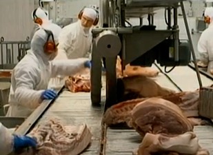 Expectativa é exportar oito mil toneladas ao mês de carne suína (Foto: Reprodução RBS TV)