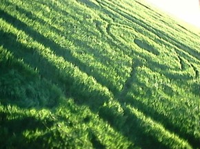 Lavoura No Parana Tem Imagens Que Podem Ser De Ets Diz Ufologo Oeste E Sudoeste G1