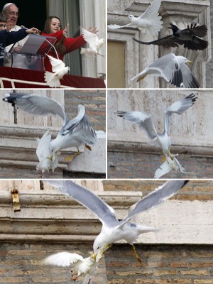 Pomba solta pelo Papa é atacada por corvo e gaivota no Vaticano (Alessandro Bianchi/Reuters Gregorio Borgia/AP)