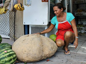 Dona Rosa exibe orgulhosa a batata 'gigante' colhida em seu sítio no Amazonas (Foto: Leandro Tapajós/G1 AM)
