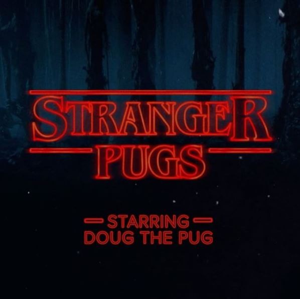 Doug the pug (Foto: Reprodução/Instagram)