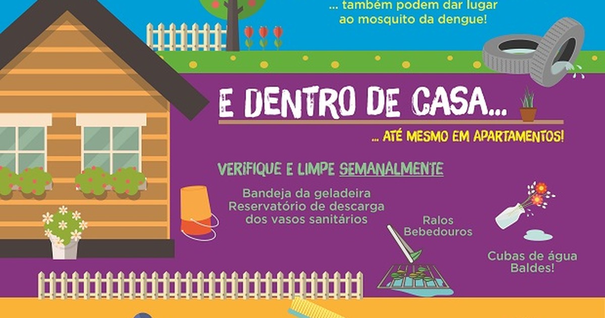 G1 Sem água Parada Sem Dengue Combate Ao Mosquito é Tarefa De Todos Notícias Em Especial 