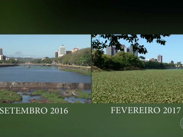 Imagens feitas em setembro de 2016 e em fevereiro de 2017 mostram como paisagem mudou (Foto: Reprodução/TV Santa Cruz)