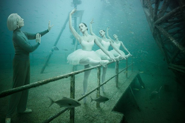   (Foto: Andreas Franke)