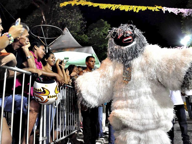Ursos interagiram com o público na Duarte da Silveira (Foto: Deyse Euzébio/Secom-JP)