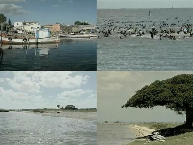 Ilha da Crôa e da Feitoria, na Lagoa dos Patos, em Pelotas (RS) (Foto: Reprodução/RBS TV)
