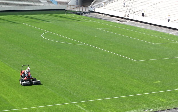 Gramado Estádio Corinthians (Foto: Marcio Fernandes / Agência estado)