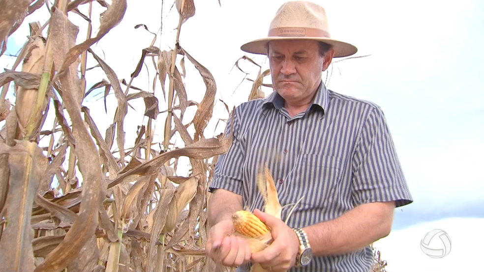 Erny Parisenti (Foto: Reprodução/TVCA)