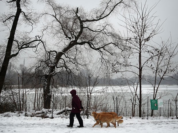 Mulher passeia com cachorro em Nova York neste sábado (24) (Foto: Spencer Platt/Getty Images/AFP)