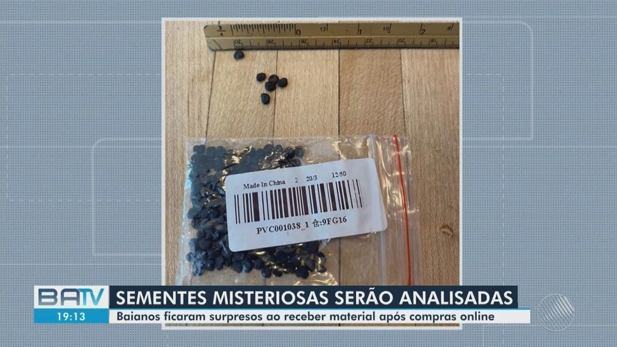 Moradoras Da BA Relatam Que Receberam Sementes Misteriosas Enviadas