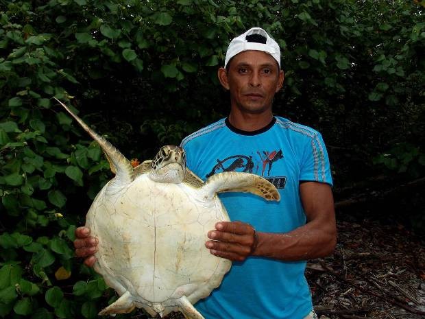 Pescador de Curuçá auxilia projeto de preservação de espécies ameaçadas de tartarugas marinhas, no litoral paraense. (Foto: Divulgação/Instituto Peabiru)