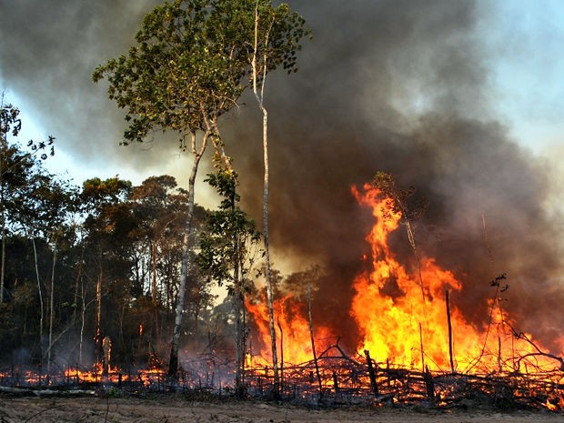 O fogo teve início no dia 3 com a queima de roça próximo a outra aldeia (Foto: Sandro Vieira)