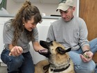 Cão devora 9 cartuchos de rifle e passa por cirurgia nos EUA
