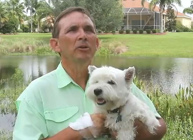 Stephen Gustafson lutou com um aligátor para salvar seu cão de estimação. (Foto: Reprodução)