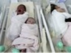 Alemanha permite registro de bebês com gênero indeterminado