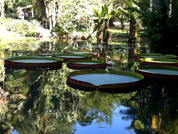 O Jardim Botânico é considerado um dos principais pontos turísticos do Rio (Foto: Rodrigo Vianna / G1)