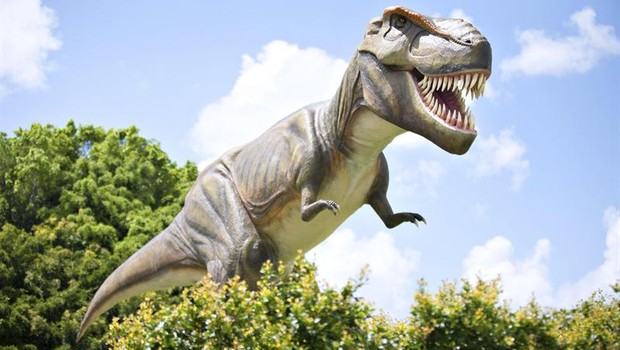 Réplica de um Tyrannosaurus Rex, exibido em no Credit Palmer Coolum Resort, na Austrália (Foto: Agência EFE)