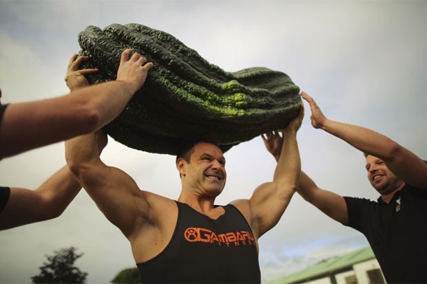Abobrinha de 54,32 quilos, que foi cultivada por Peter Glazebrook, foi um dos vencedores da competição de vegetais gigantes, em setembro de 2012, durante uma feira em Harrogate, na Inglaterra. (Foto: Christopher Furlong/Getty Images)