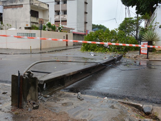 Árvore caiu e derrubou poste no bairro de Manaíra, em João Pessoa (Foto: Walter Paparazzo/G1)