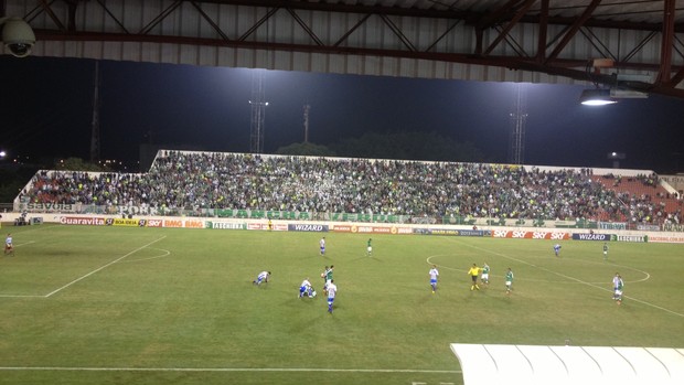 torcida palmeiras Avaí (Foto: Marcelo Prado)